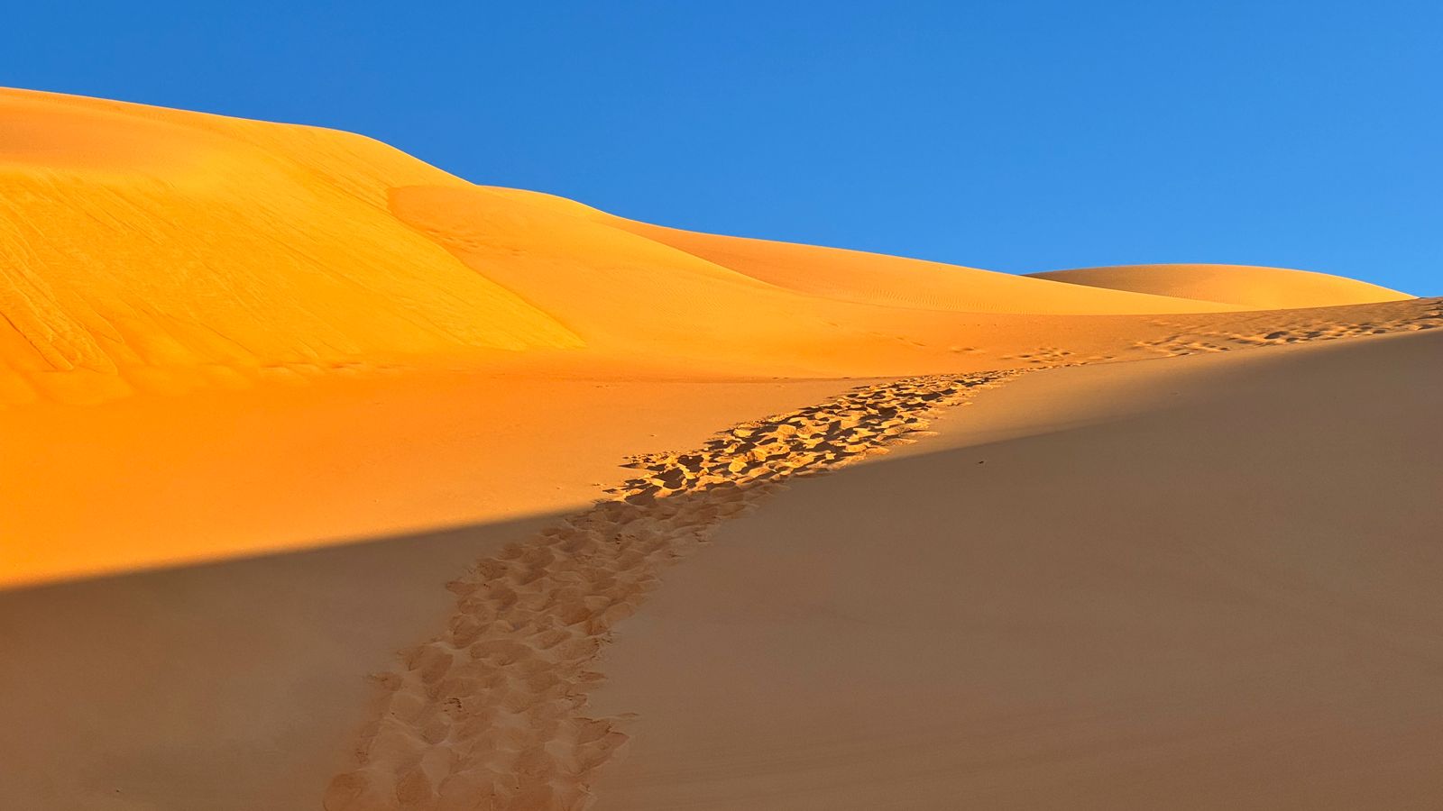 Dunes du Parc National du Banc d'Arguin